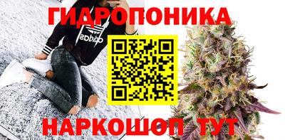 дмт Кимры