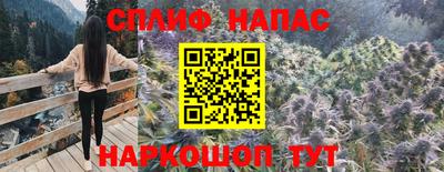 дмт Кимры
