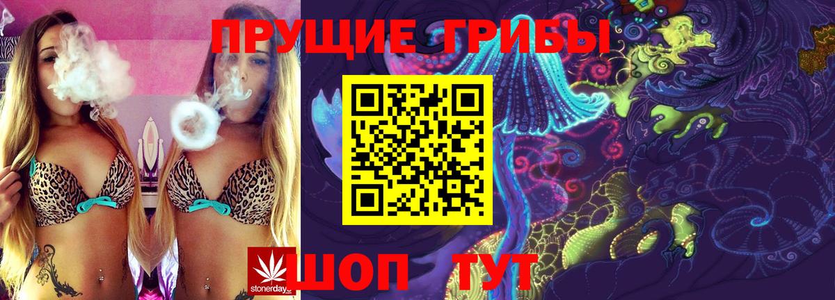 Псилоцибиновые грибы Psilocybine cubensis Краснознаменск