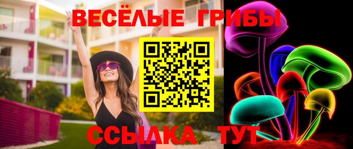 Краснознаменск  Псилоцибиновые грибы Psilocybe  Вход с VPN 