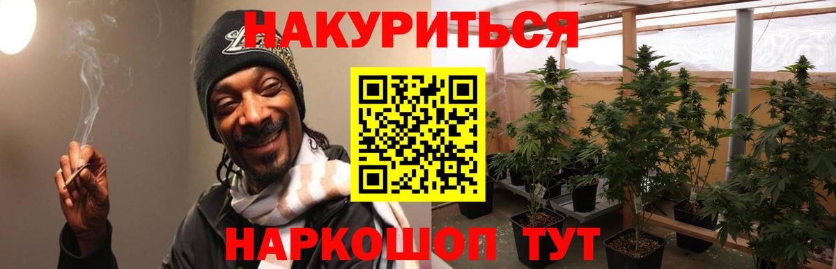 Конопля индика Краснознаменск