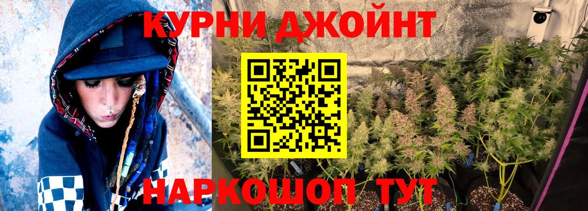 Краснознаменск  Шишки марихуана VHQ  МАРИХУАНА OG Kush  Вход с VPN  Канабис White Widow  Канабис Amnesia 